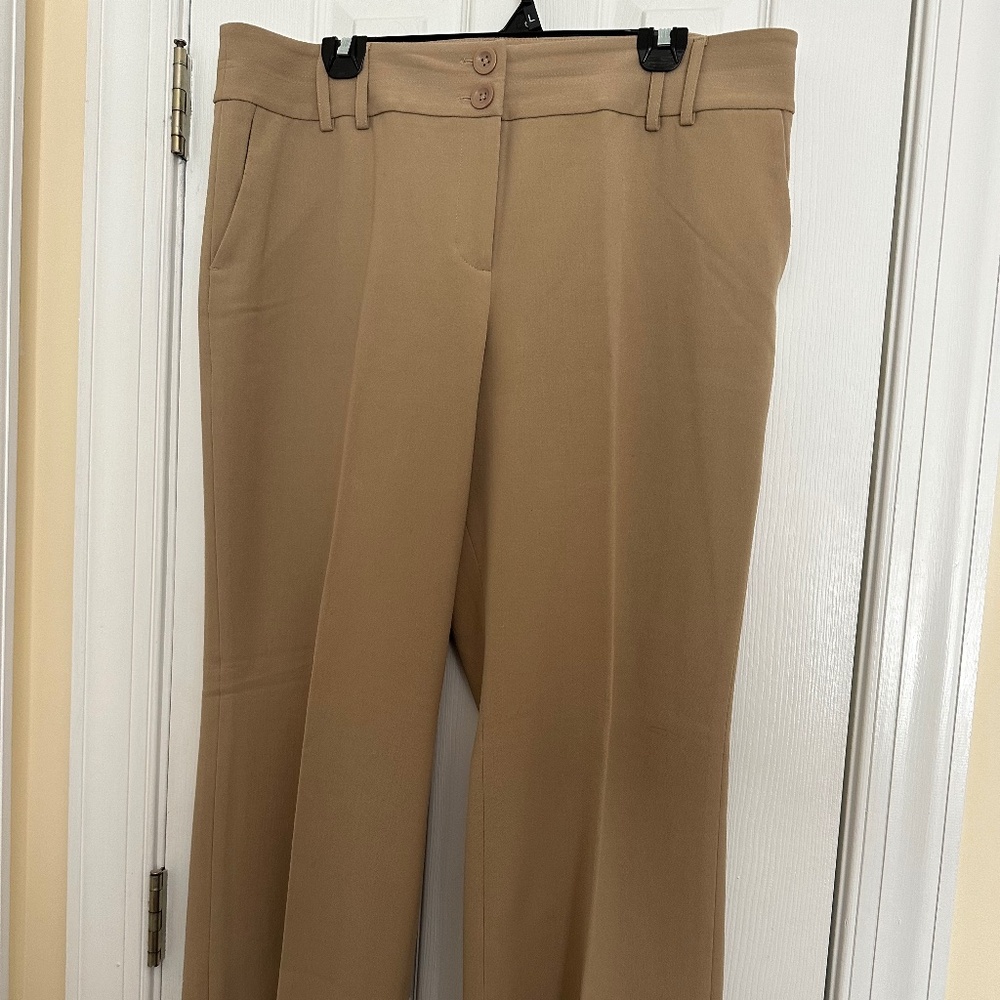 Ann Taylor Loft pants